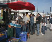 southampton2011_big.jpg